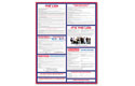 Federal Labor Law Poster - English